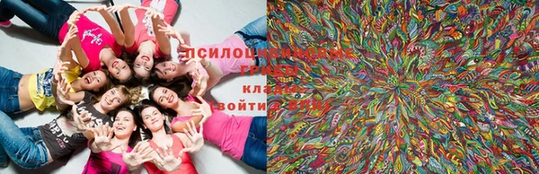 бошки Абдулино