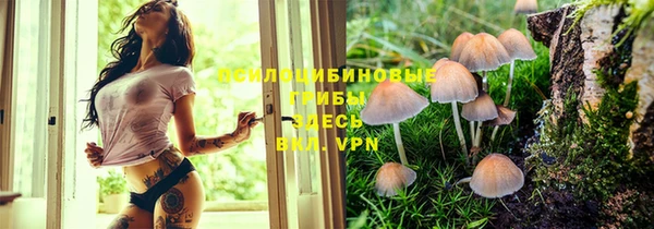 гидра Воткинск