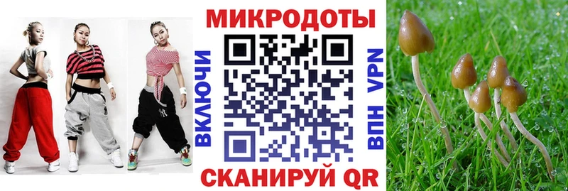 цена наркотик  Зея  Псилоцибиновые грибы ЛСД 